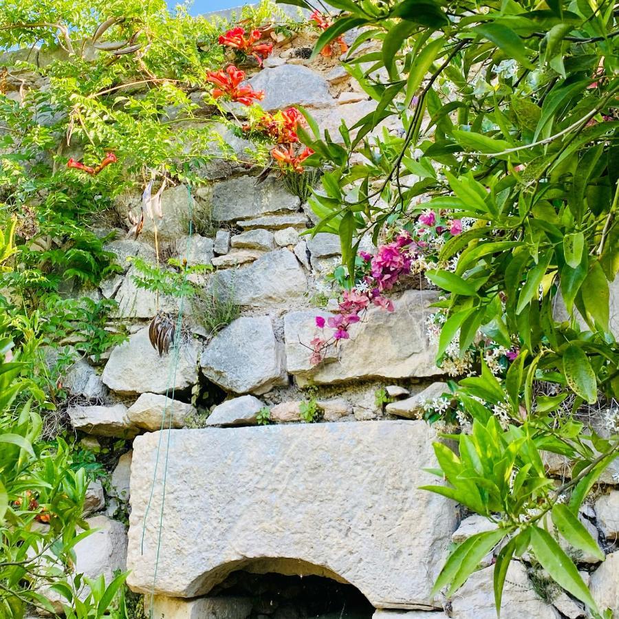 Villa In Gargano - Villa Basso 몬테산탄젤로 외부 사진